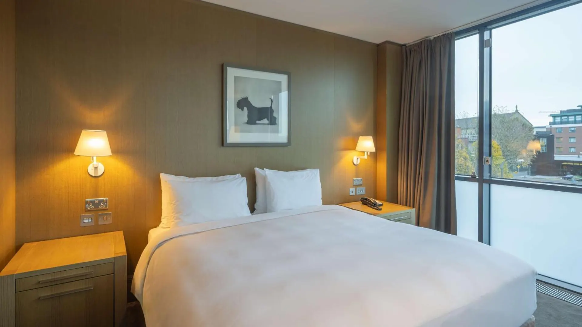Radisson Blu Royal Hotel Dublin 4*,  Ireland